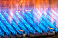 Treyford gas fired boilers